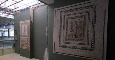 Mosaics on display at the Hatay Archaeology Museum, Hatay, Türkiye, April 8, 2023. (IHA Photo)