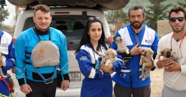 A group of volunteers with puppies rescued from the Yusufeli region, Artvin, Türkiye, April 12, 2023. (DHA Photo)