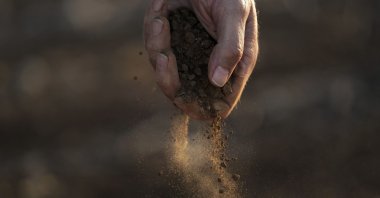 A farmer drops dusty soil from a cotton crop he shredded and planted over with wheat, in Kress, Texas, U.S., Oct. 3, 2022. (AP Photo)