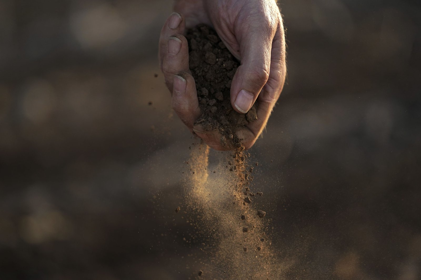 A farmer drops dusty soil from a cotton crop he shredded and planted over with wheat, in Kress, Texas, U.S., Oct. 3, 2022. (AP Photo)