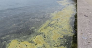 Aerial view of "sea snot" around Kadikoy station off the Marmara Sea, in Istanbul, Türkiye, April 16, 2023. (DHA Photo)