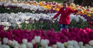 A young girl runs through a tulip display in the Sultanahmet district in Istanbul, Türkiye, April 13, 2016. (Getty Images Photo)