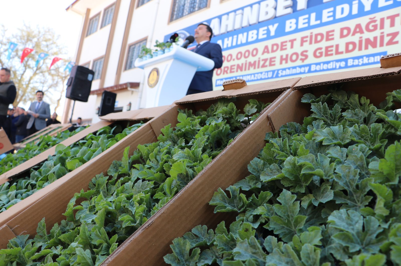 Petani akan menerima 11,5 juta bibit di Türkiye selatan