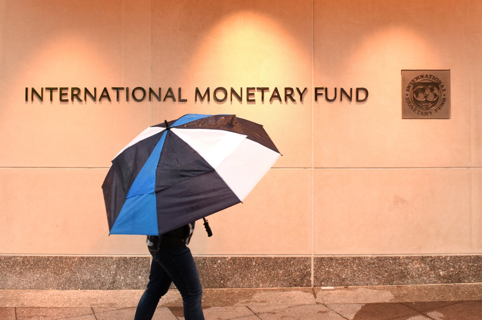 IMF memperingatkan risiko ‘siklus kiamat’