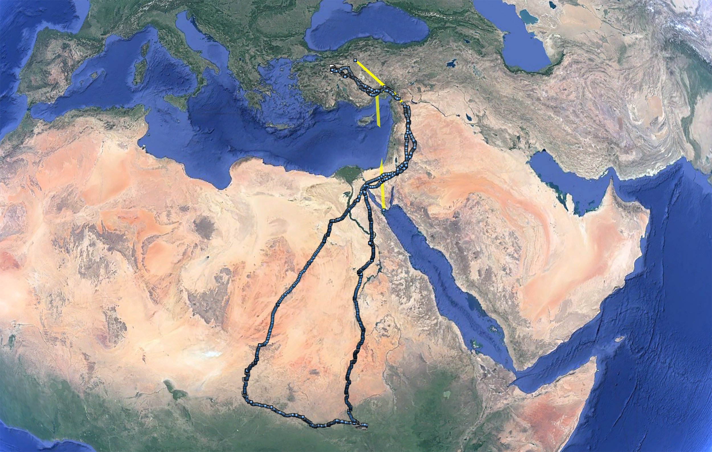 Citra satelit dari rute yang dicakup oleh Midas burung nasar Mesir disediakan oleh Asosiasi KuzeyDoğa, 24 April 2023. (Foto AA)