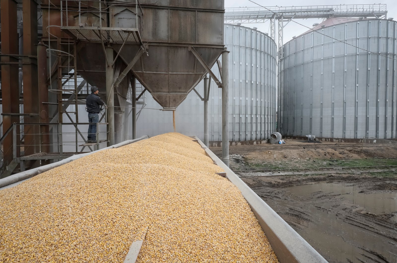 A load of corn is poured into a truck, at a grain storage facility in the village of Bilohiria, Khmelnytskyi region, Ukraine, April 19, 2023. (Reuters Photo)