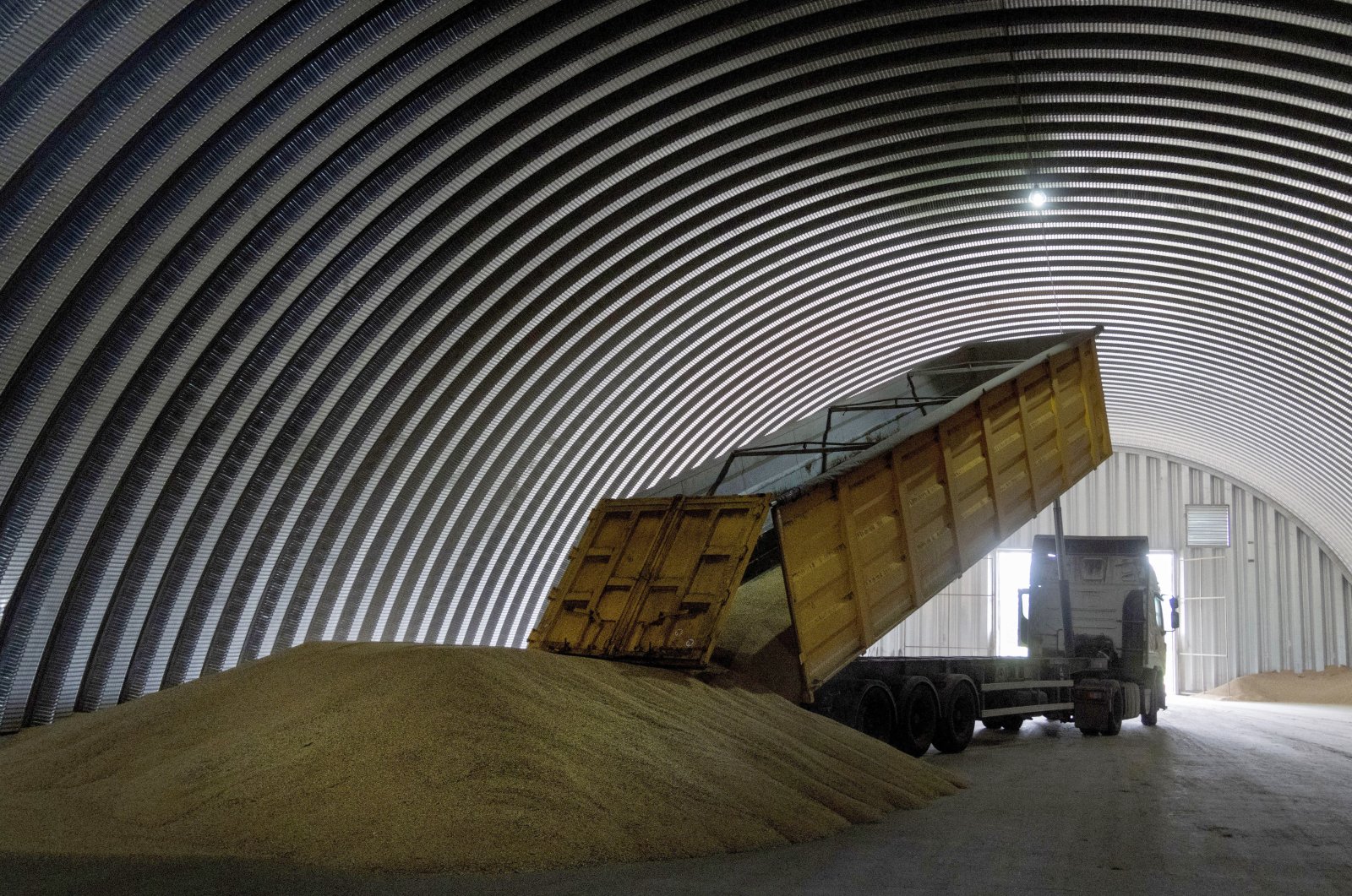 A dump track unloads grain in a granary in the village of Zghurivka, Ukraine, Aug. 9, 2022. (AP File Photo)