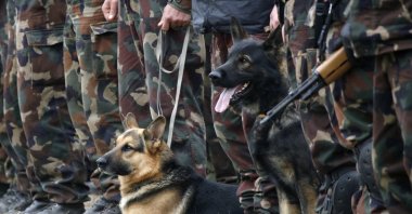 Soldiers with their dogs participate in a military exercise in Hajamasker, 120 km (75 miles) west of Budapest, Oct. 11, 2007. (Reuters File Photo)