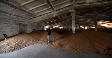 Petro Potapenko examines remnants of unsold grain in the storage of his farm in Kyiv region, Ukraine, April 19, 2023. (AFP Photo)