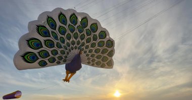 The peacock kite prepared by kite artist Zahit Mungan, Mardin, Türkiye, April 27, 2023. (AA Photo)