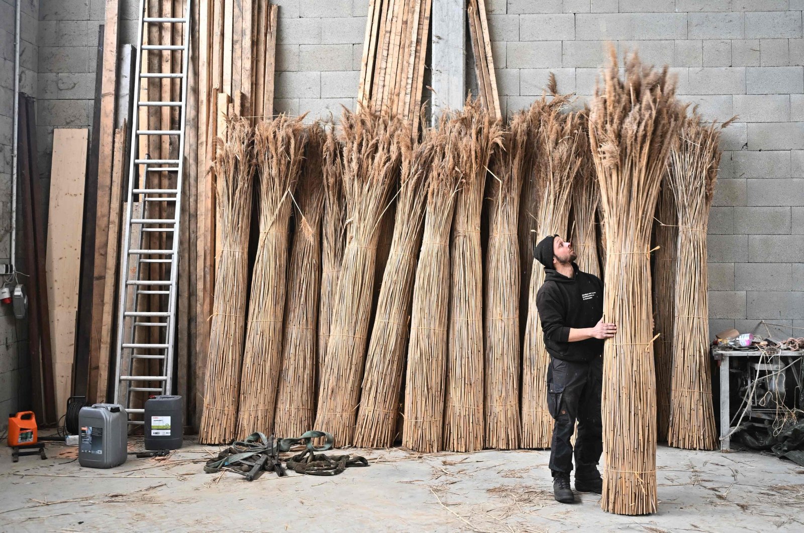 Jacobus van Hoorne checks stacks of reed at his storage at Weiden am See, Austria, March 9, 2023. (AFP Photo)