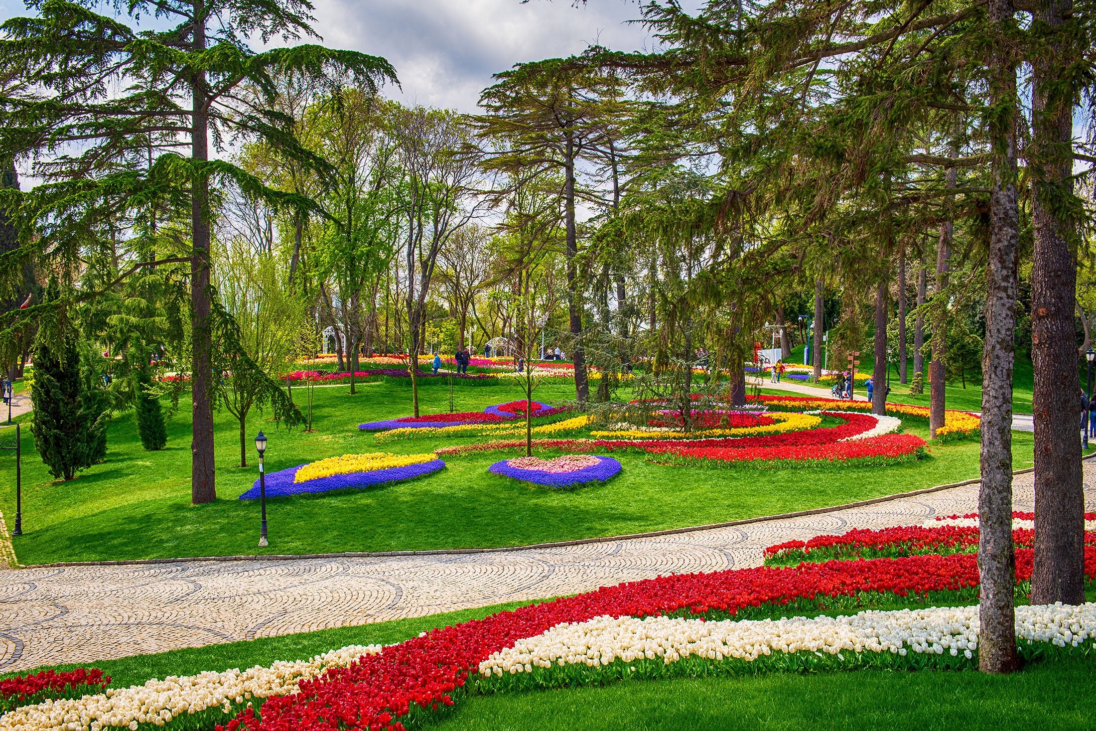 Tulip menghiasi Taman Gülhane, di Istanbul, Türkiye.  (Foto Shutterstock)