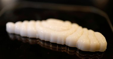 A piece of freshly 3D-printed cultivated grouper fish at the offices of Steakholder Foods in Rehovot, Israel, April 23, 2023. (Reuters Photo)