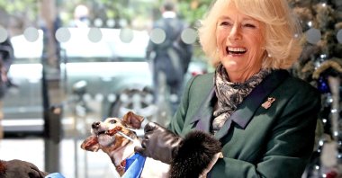 Camilla, Duchess of Cornwall holds Beth, her Jack Russell Terrier, during a visit at the Battersea Dogs and Cats Home, in London, U.K., Dec. 9, 2020. (Reuters Photo)