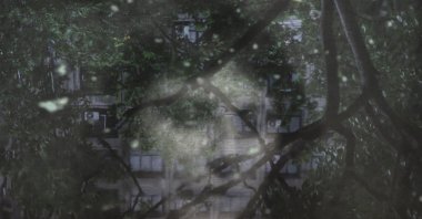 A still shot from "The Art of Living in Danger" by Mina Keshavarz. (Photo courtesy of Flying Broom International Women's Film Festival)