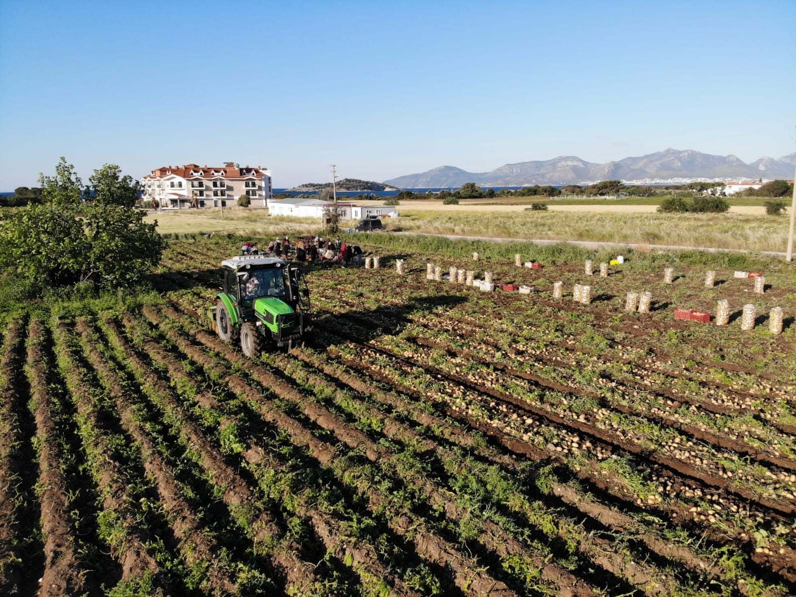 A tractor is seen on a farm in Muğla province&#039;s Datça district, southern Türkiye, May 2, 2023. (AA Photo)