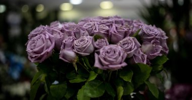A bouquet of roses in a flower shop in Ankara, Türkiye, May 9, 2023. (AA Photo)