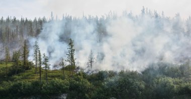 Forest fire in the Urals in this undated file photo. (Shutterstock File Photo)