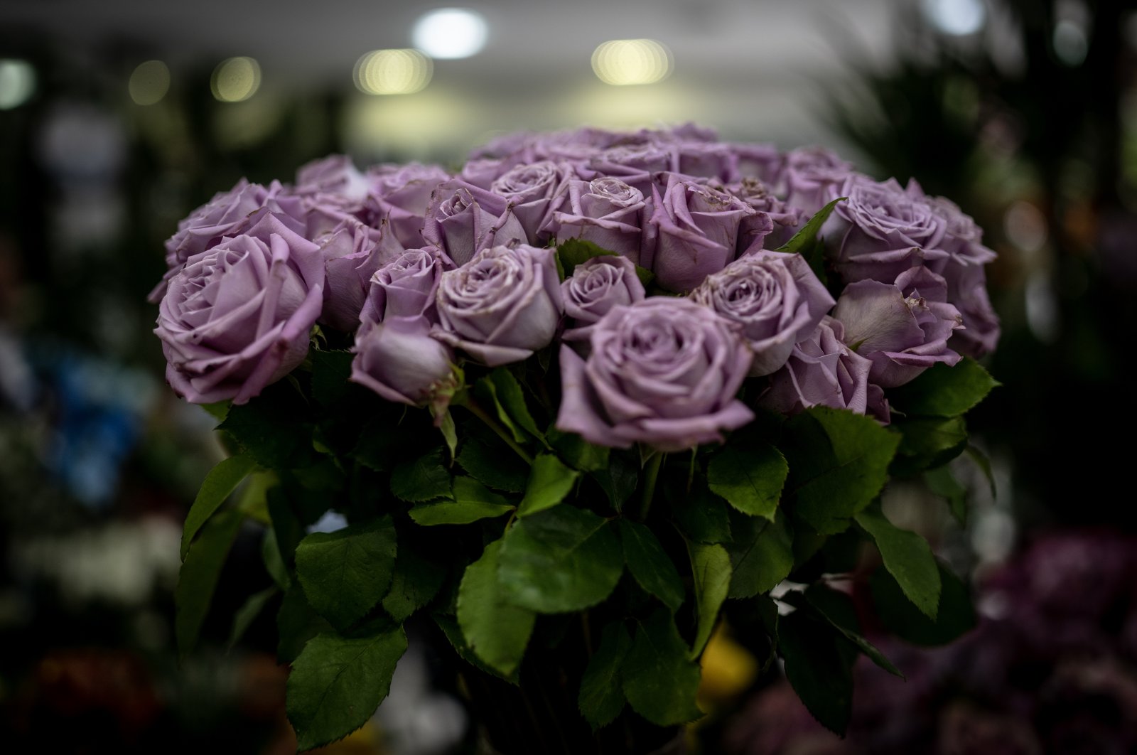 A bouquet of roses in a flower shop in Ankara, Türkiye, May 9, 2023. (AA Photo)