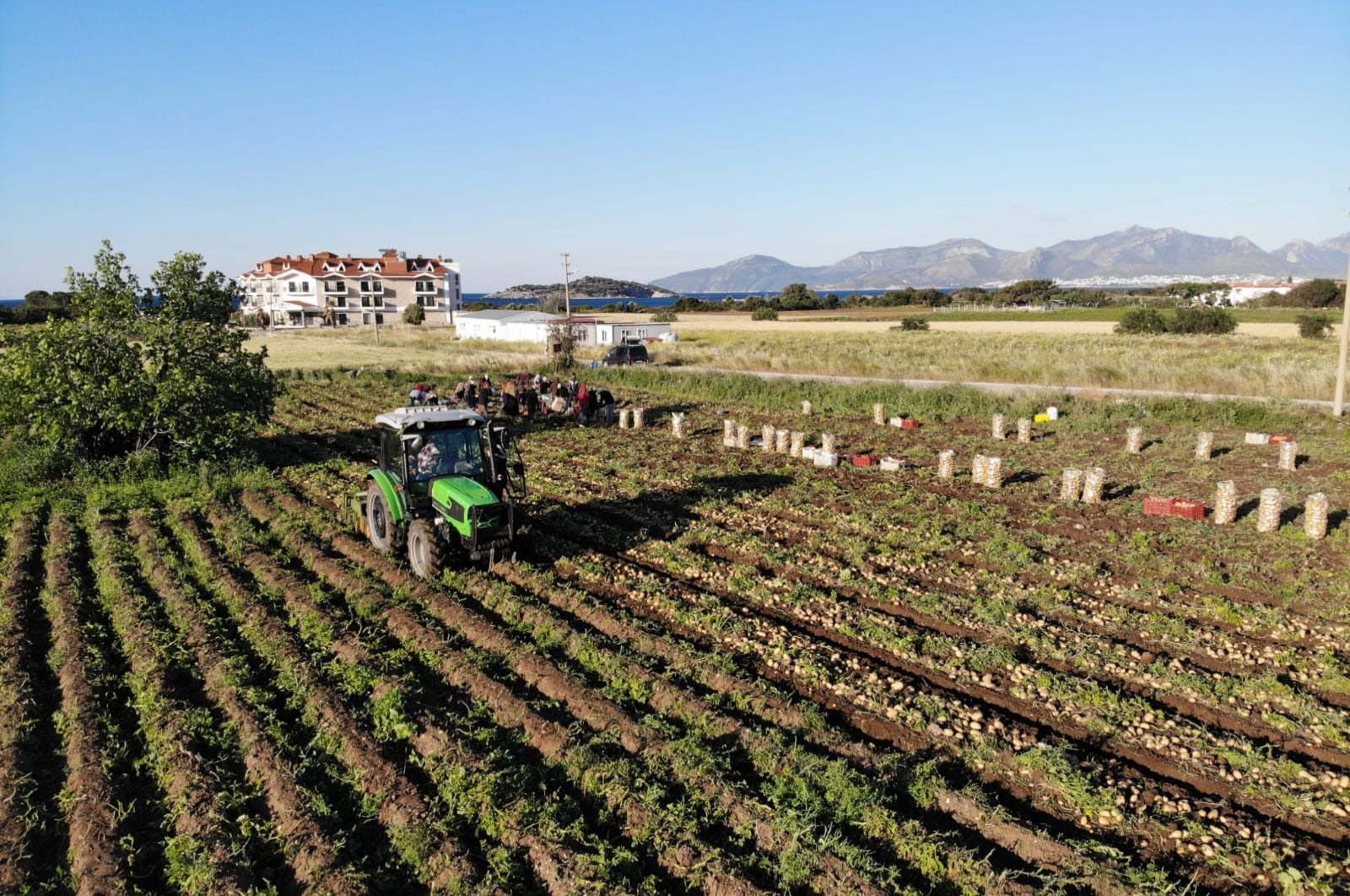 Program pendanaan UE untuk membantu investasi besar di pedesaan Türkiye