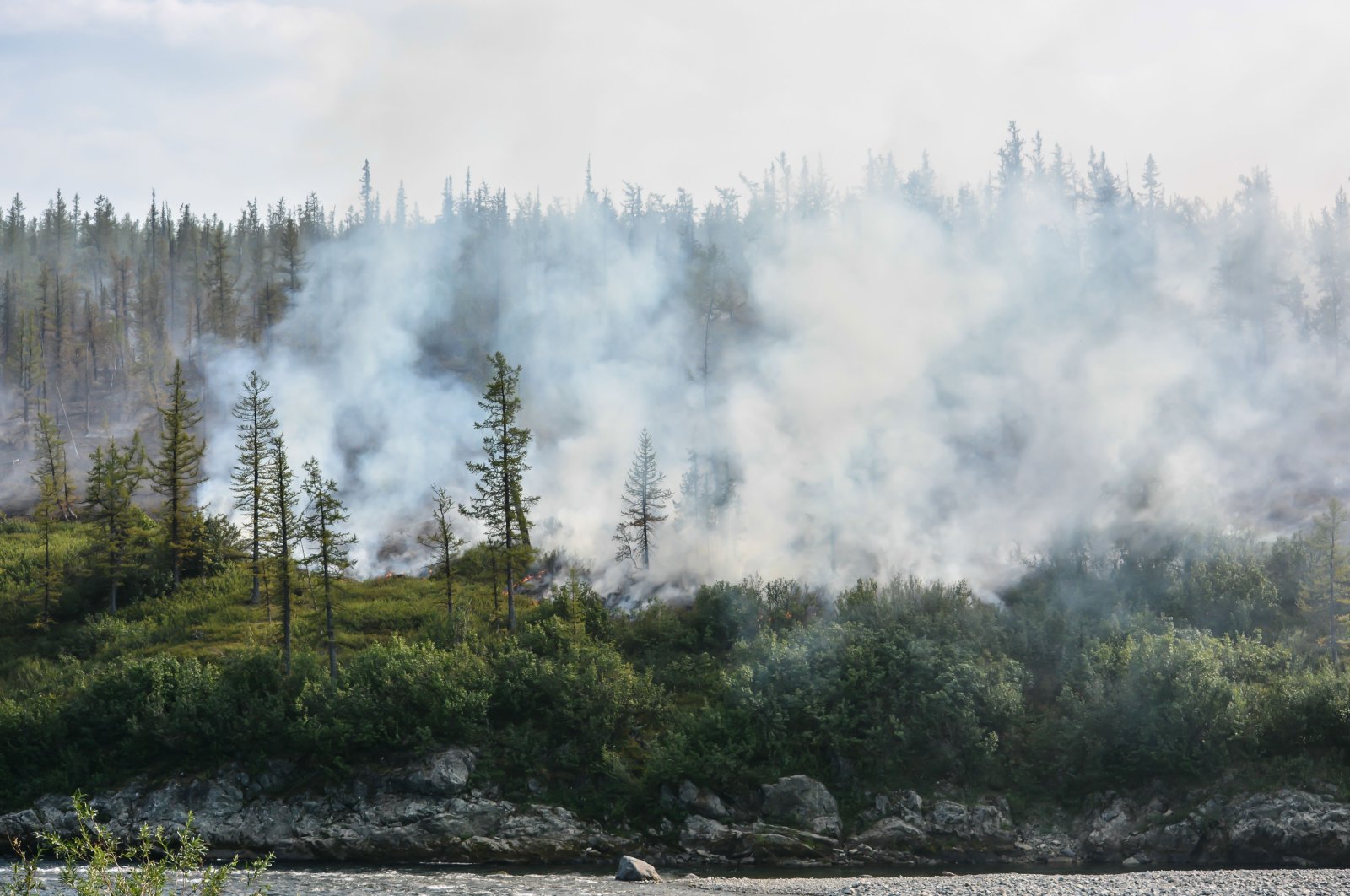 Sedikitnya 21 tewas dalam kebakaran hutan di wilayah Siberia timur Rusia