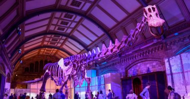 Museum visitors walk beneath the skeleton of Patagotitan mayorum at Natural History Museum in London, U.K., April 1, 2023. (Reuters Photo)