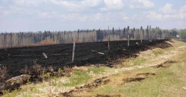 Burnt grass and trees are pictured just off Highway 16 in the Yellowhead County area, Alberta, Canada, May 9, 2023. (AFP Photo)