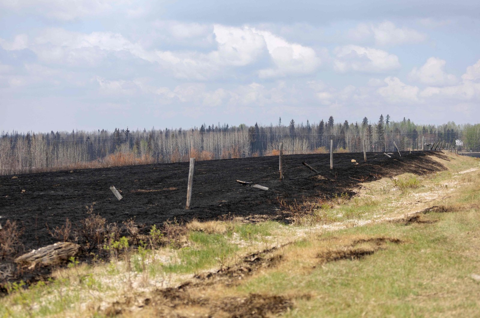 Cuaca panas dan kering membayangi saat kebakaran hutan Kanada melambat