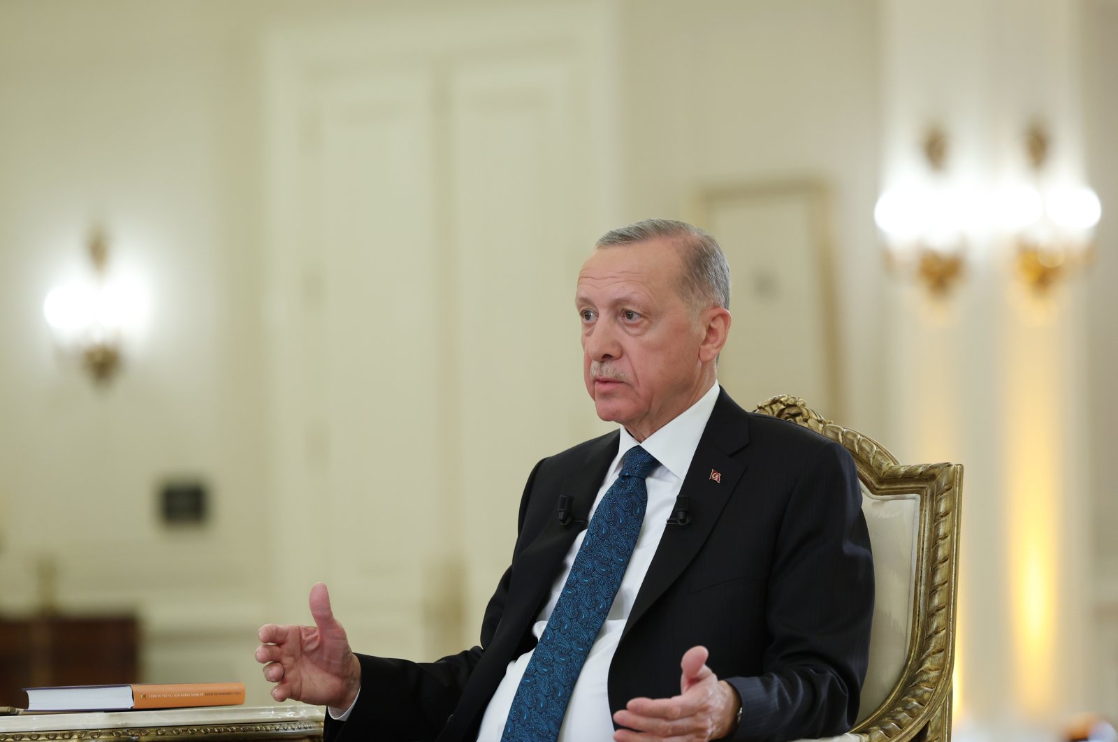 President Recep Tayyip Erdoğan speaks in a live interview (AA File Photo)