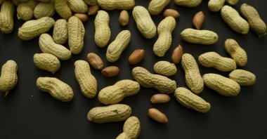 An arrangement of peanuts in New York, U.S., Feb. 20, 2015. (AP Photo)