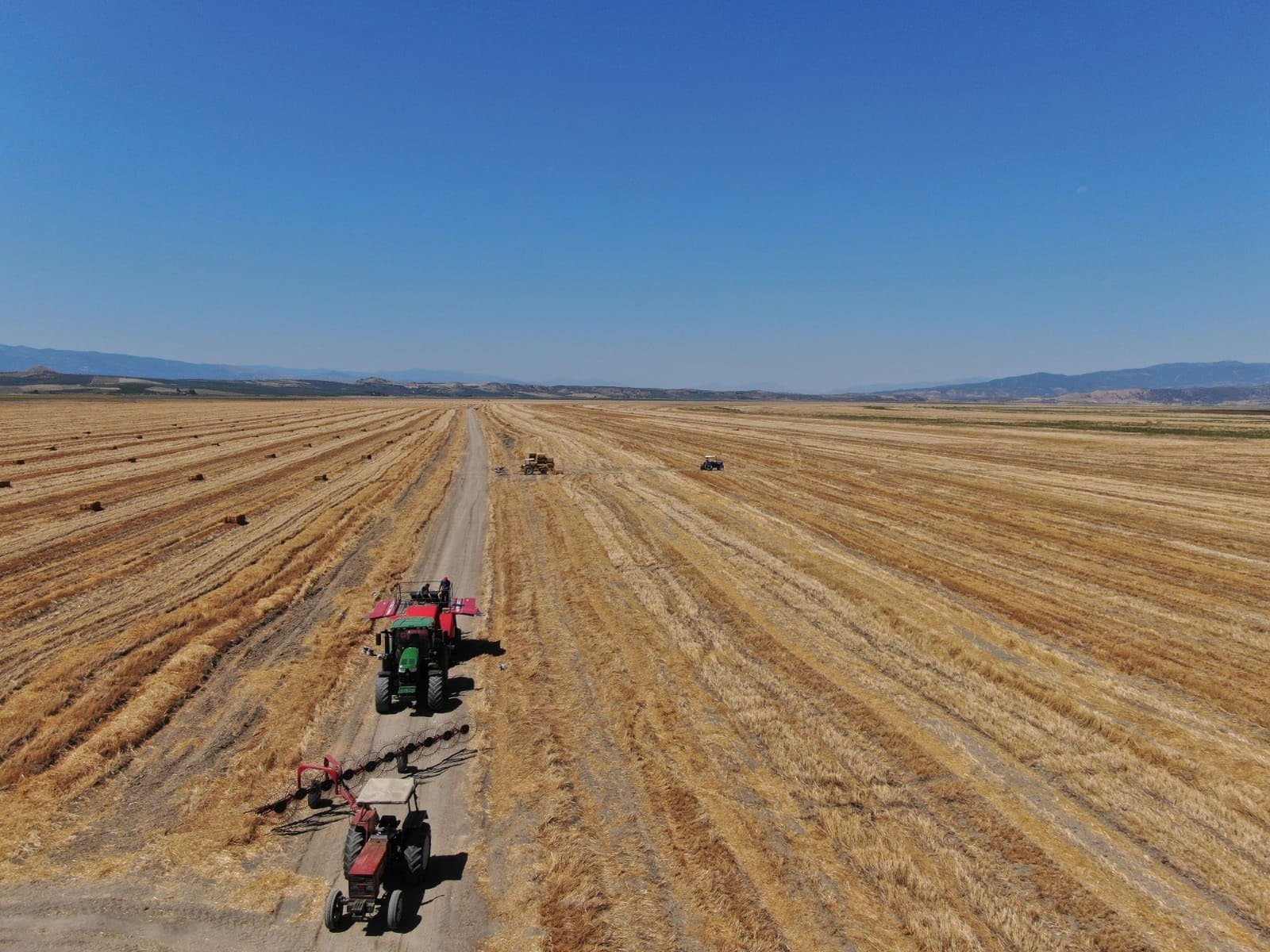 A view of agricultural fields, in Manisa, western Türkiye, Aug. 9, 2022. (DHA PHOTO)
