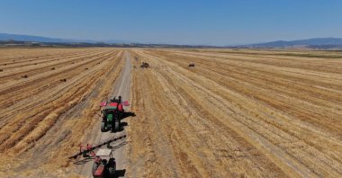 A view of agricultural fields, in Manisa, western Türkiye, Aug. 9, 2022. (DHA PHOTO)
