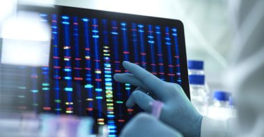 Scientists are able to detect a person&#039;s DNA information from footprints left on a beach or from air, study reveals. (Getty Images Photo)