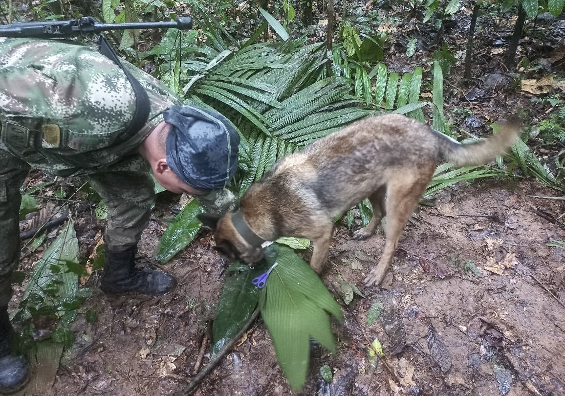 A Colombian soldier and a dog search for plane crash survivors in Solano, Colombia, May 17, 2023. (AFP Photo)