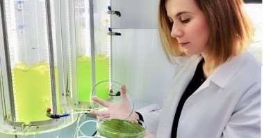 Professor Didem Balkanlı Özçimen from Yıldız Technical University's Bioengineering Department is seen holding microalgae on a Petri Dish, Istanbul, Türkiye, May 16, 2023. (AA Photo)