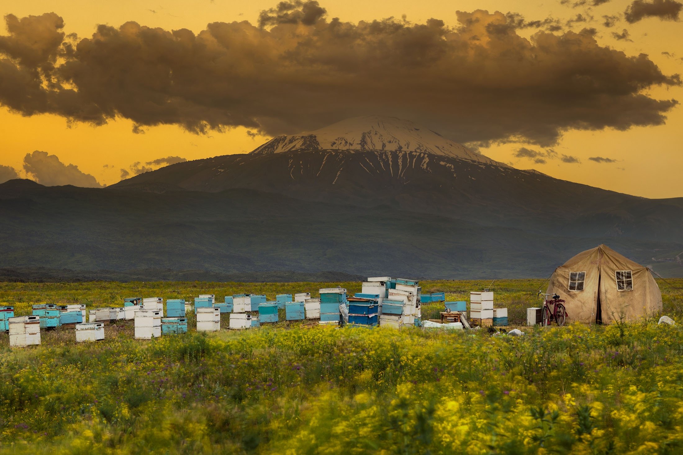Di Türkiye, madu selalu menjadi komoditas berharga dengan sejarah ribuan tahun.  (Foto Shutterstock)