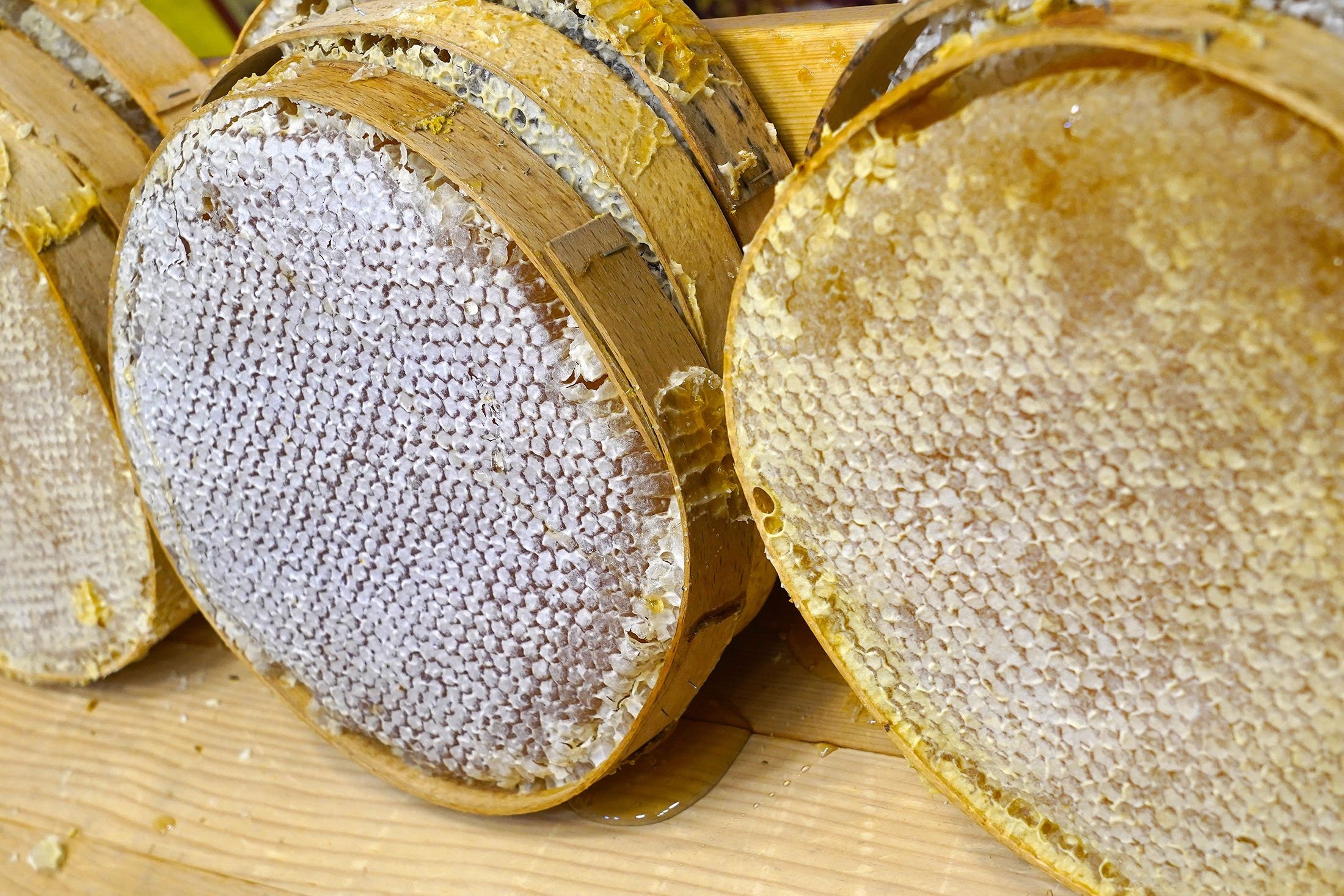 Sarang madu organik dari madu Karakovan Turki.  (Foto Shutterstock)