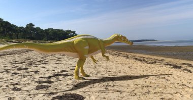 An illustration shows the newly discovered Cretaceous Period meat-eating dinosaur Protathlitis cinctorrensis from Spain. (Reuters Photo)