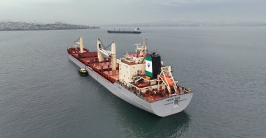 Barbados-flagged bulker Pacific Rose, carrying grain under the Black Sea Grain Initiative, waits for inspection in the southern anchorage of Istanbul, Türkiye, May 17, 2023. (Reuters Photo)