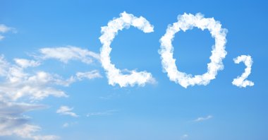 Some animal and plant species contribute to the reduction of greenhouse gas emissions that cause global warming, according to experts. (Shutterstock Photo)