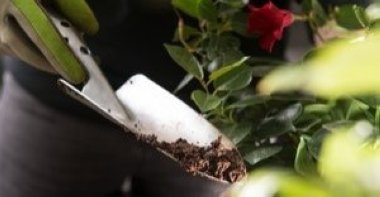 A fertilizer made from used coffee grounds. (dpa Photo)