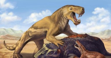 An illustration shows the Permian period tiger-sized saber-toothed protomammal Inostrancevia atop its dicynodont prey, scaring off the much smaller species Cyonosaurus. (Reuters Photo)