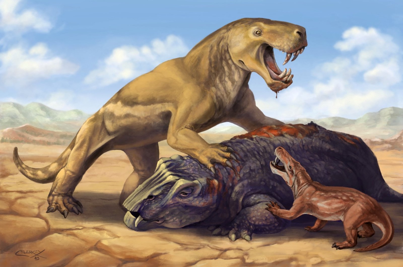 An illustration shows the Permian period tiger-sized saber-toothed protomammal Inostrancevia atop its dicynodont prey, scaring off the much smaller species Cyonosaurus. (Reuters Photo)