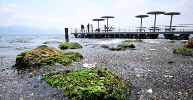 Red algae that surfaced due to pollution are seen in Izmir Bay, western Türkiye, May 29, 2023. (AA Photo)