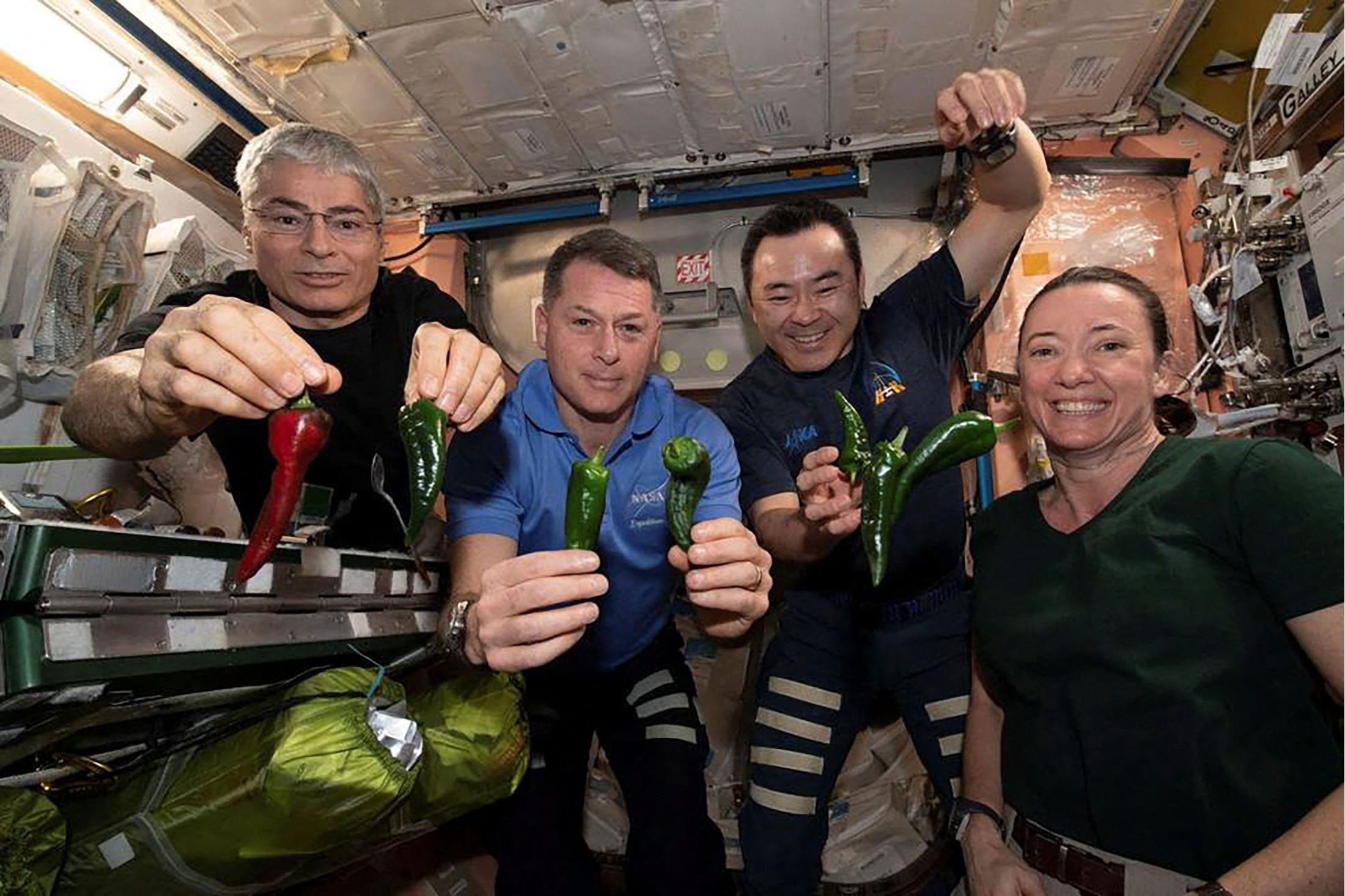 Astronot Stasiun Luar Angkasa Internasional Mark Vande Hei (L), Shane Kimbrough (CL), Akihiko Hoshide (CR) dan Megan McArthur, berpose dengan cabai yang ditanam di luar angkasa untuk pertama kalinya.  (Foto Reuters)