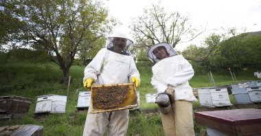 Mehmet Aslan and Ayten Aslan couple harvest honey, in Bingöl, eastern Türkiye, May 27, 2023. (AA Photo)