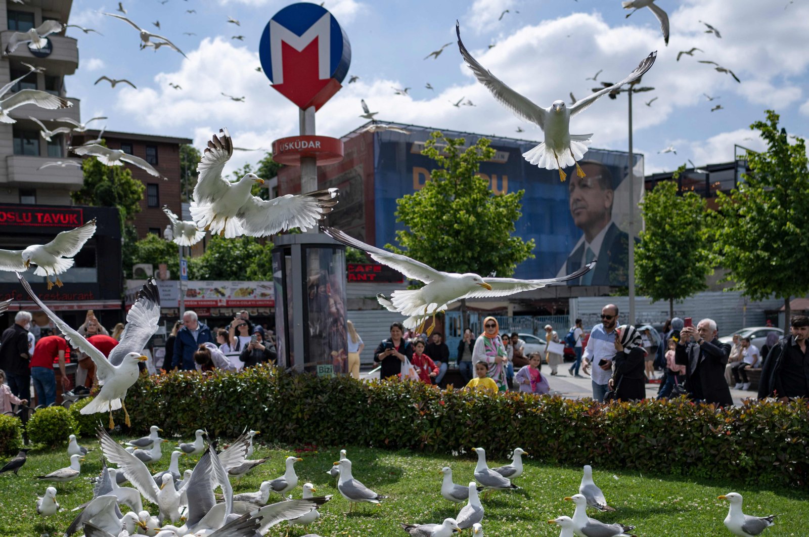 Seagulls gather on the grass close to an electoral poster bearing a portrait of President Recep Tayyip Erdoğan ahead of the May 28 presidential runoff vote, in Istanbul, Türkiye, May 27, 2023. (AFP Photo)