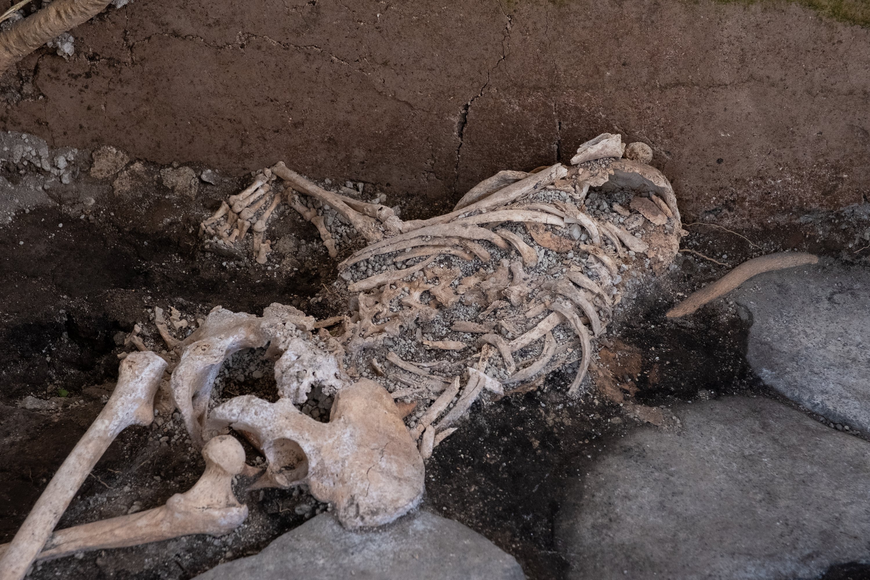 Foto tak bertanggal ini menunjukkan salah satu dari dua kerangka yang ditemukan di Taman Arkeologi Pompeii, kemungkinan pria paruh baya yang meninggal dalam gempa bumi selama letusan gunung berapi dahsyat yang mengubur kota Italia pada tahun 79 M, Pompeii, Italia, 29 Mei 2023. ( Foto AA)