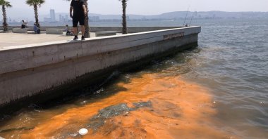 A significant color change, ranging from red to orange, caused by algae is seen in Izmir Bay, Türkiye, May 31, 2023. (DHA Photo)