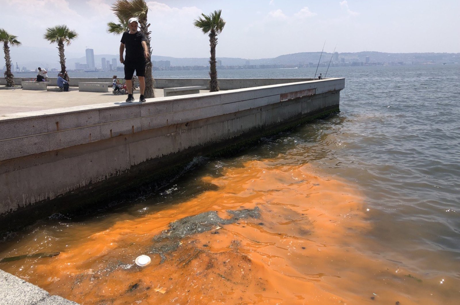 Polusi yang berlebihan menyebabkan perubahan warna di Teluk Izmir Türkiye